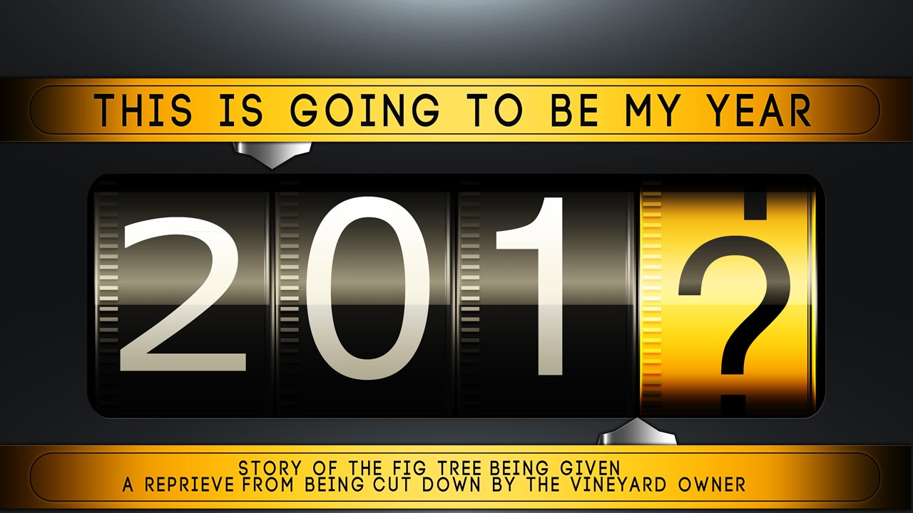 This Is Going To Be My Year (MP3)